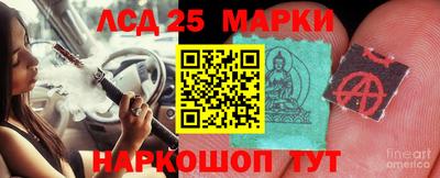 гидропоника Донской