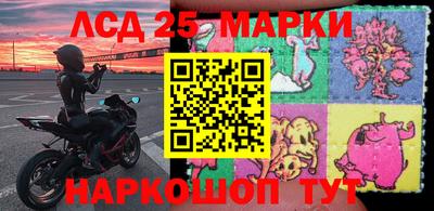 стафф Донецк