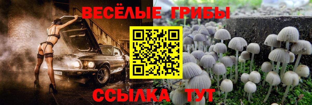 Псилоцибиновые грибы Psilocybine cubensis Пыть-Ях